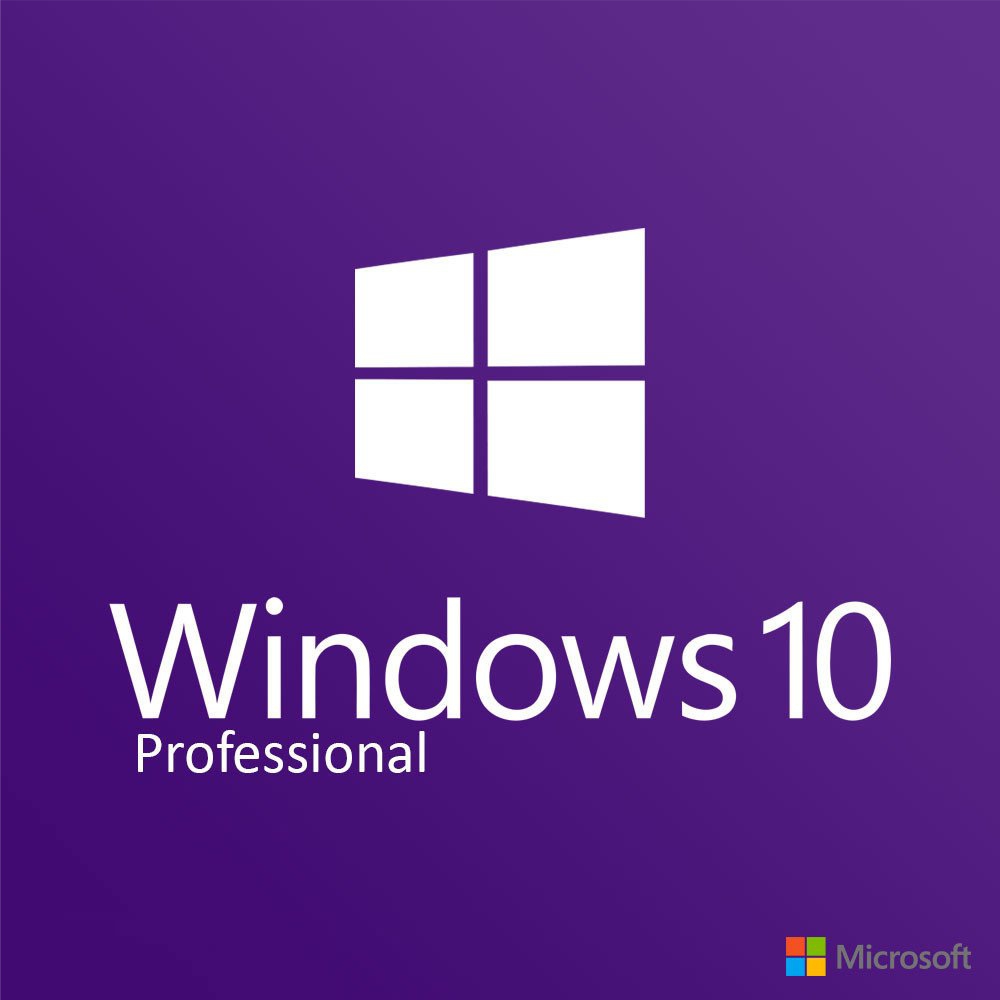 4 Office 2019 Pro Plus + Windows Server 2019 Standard Paketi
