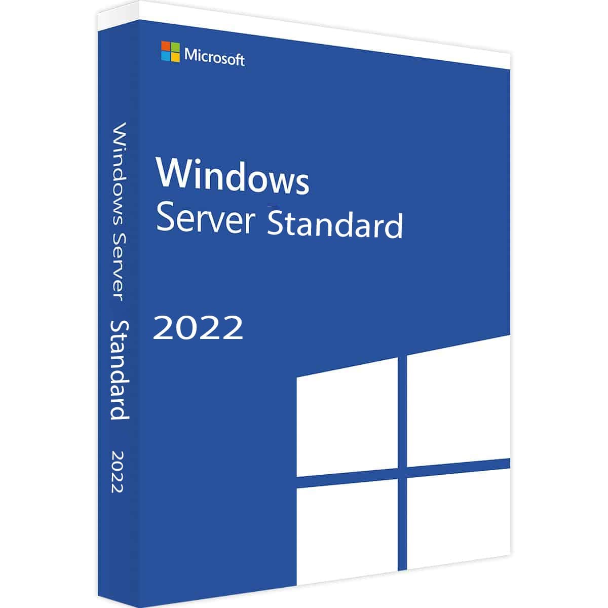 Windows Server 2022 Standard Lisans