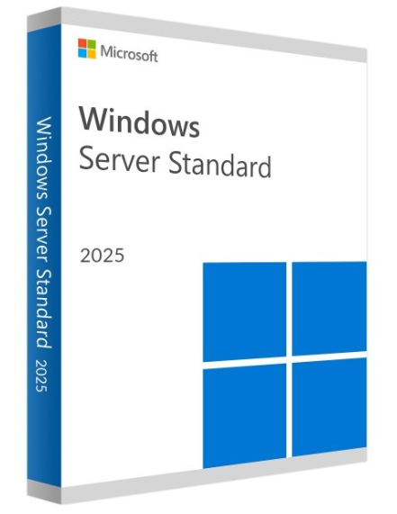 Windows Server 2025 Standard Lisans