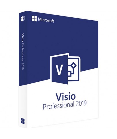 Visio 2019 Professional OEM Lisans