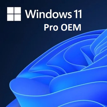 Windows 11 Pro OEM Lisans (299 TL)
