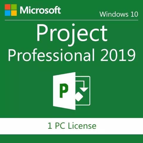 Project 2019 Professional OEM Lisans