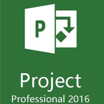 Project 2016 Professional Dijital Lisans