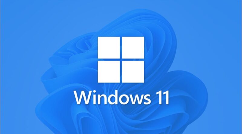 Windows 11 Pro Dijital Lisans